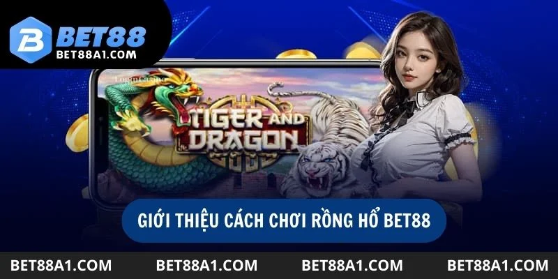 Khái quát về trò chơi rồng hổ