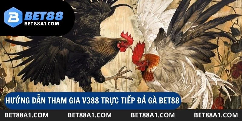 Hướng dẫn tham gia v388 trực tiếp đá gà tại Bet88