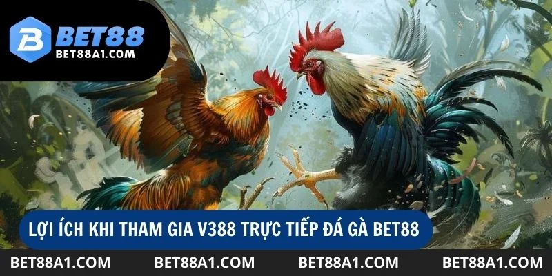 Những ưu điểm vượt trội khi tham gia v388 trực tiếp đá gà tại Bet88